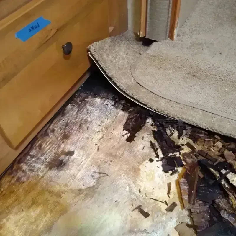 Wood Floor Water Damage in Wakefield, MI